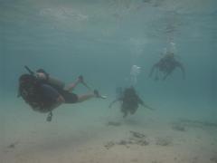 PADI Discover Scuba Lagoon dive